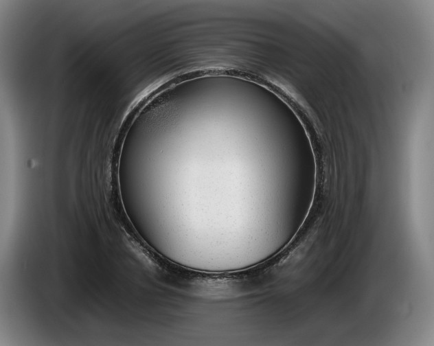 X0000085780834200703301423