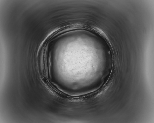 X0000085780835200703301423