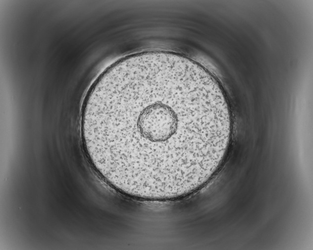 X0000085780836200703301423