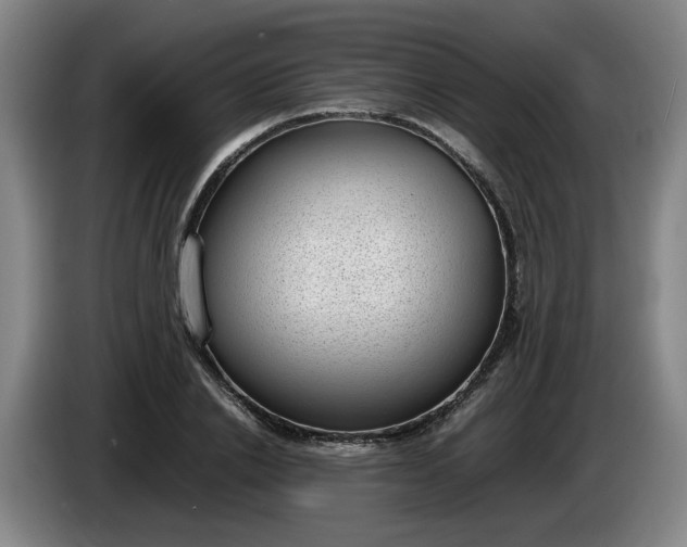 X0000085780838200703301423