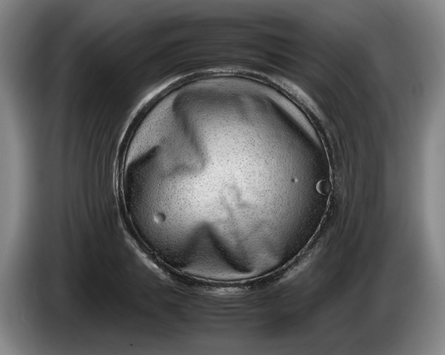 X0000085780839200703301423