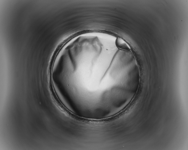 X0000085780840200703301423