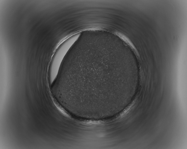 X0000085780842200703301423