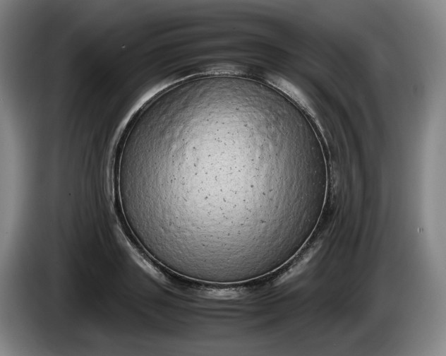 X0000085780843200703301423