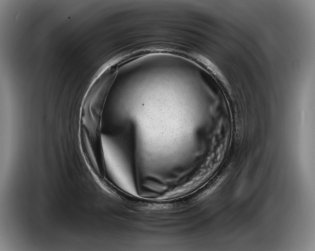 X0000085780845200703301423