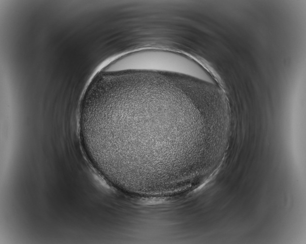 X0000085780846200703301423