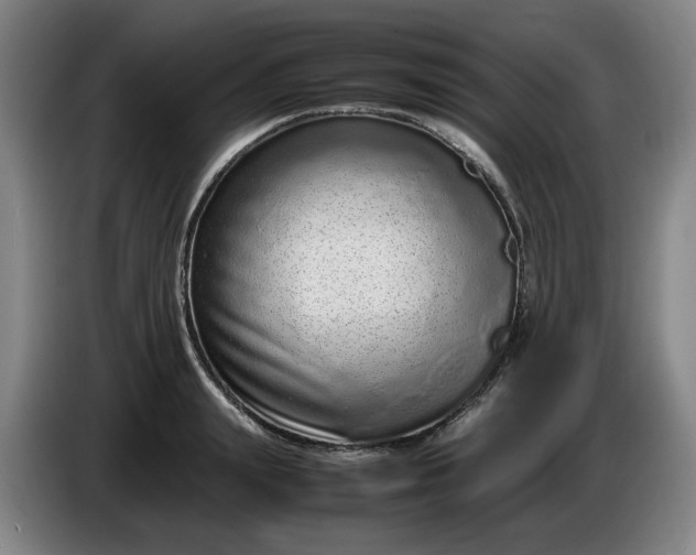 X0000085780847200703301423