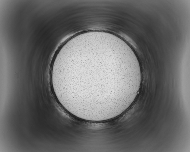 X0000085780848200703301423