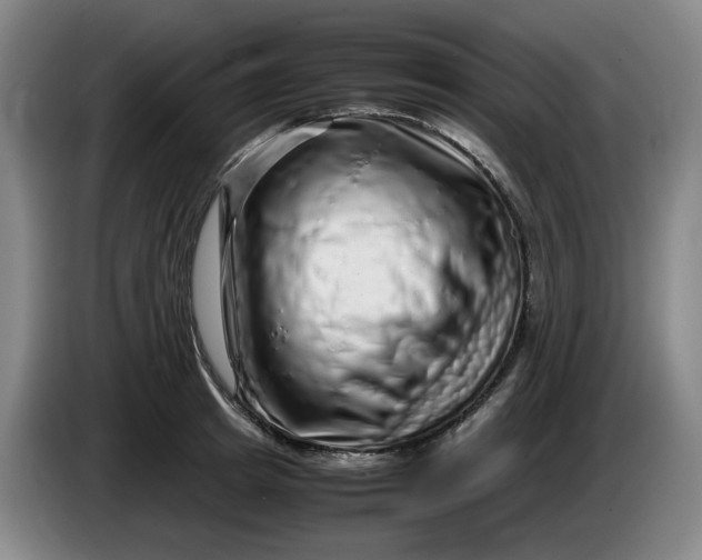 X0000085780849200703301423