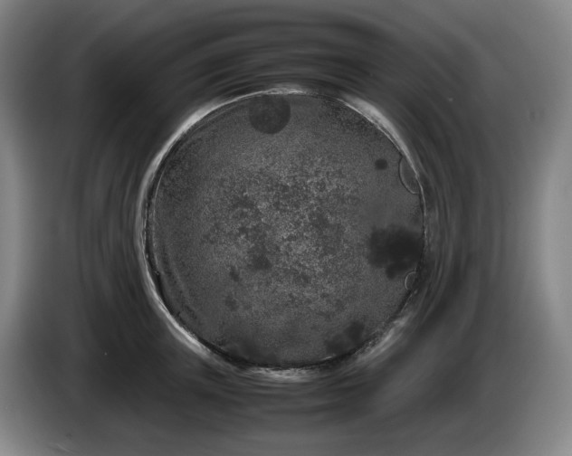 X0000085780851200703301423