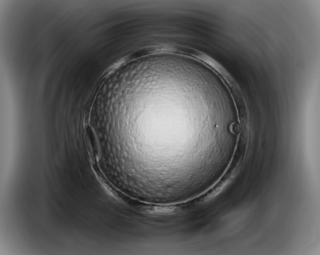 X0000085780857200703301424