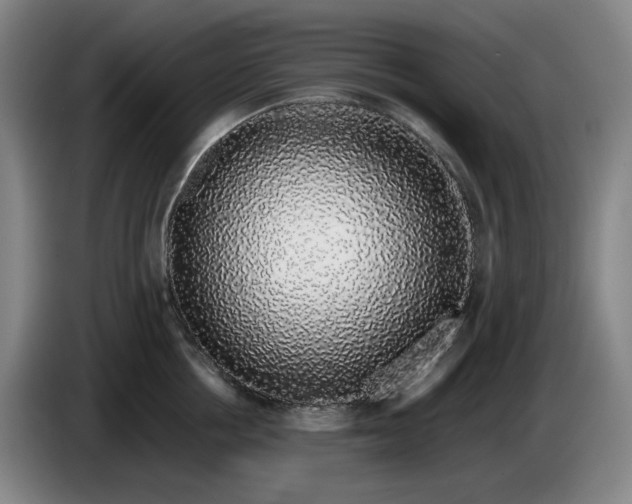 X0000085780858200703301424