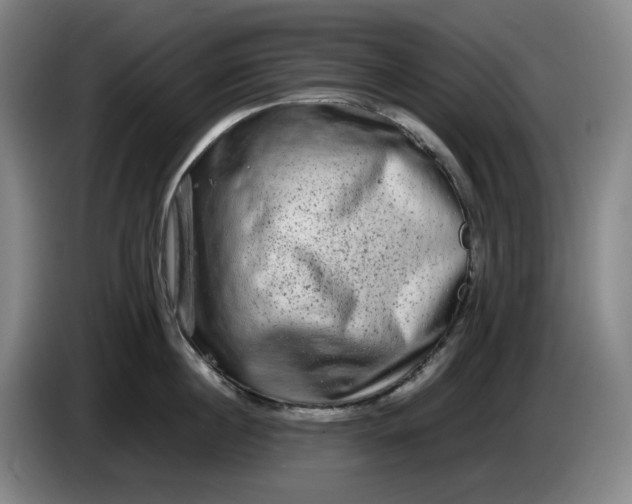 X0000085780860200703301424