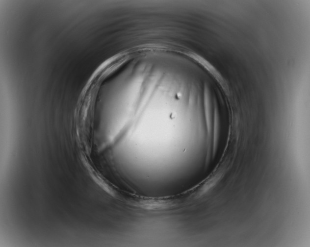 X0000085780862200703301424