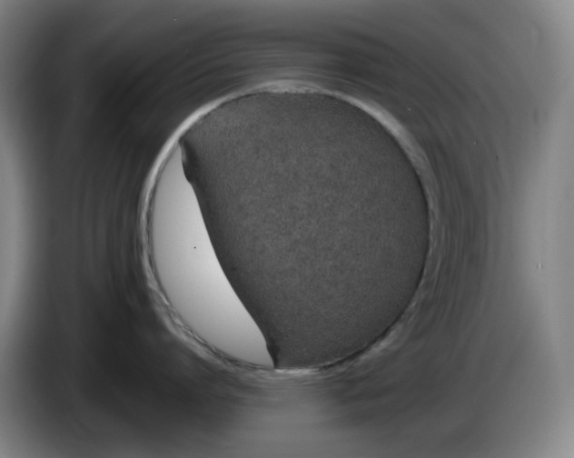 X0000085780864200703301424