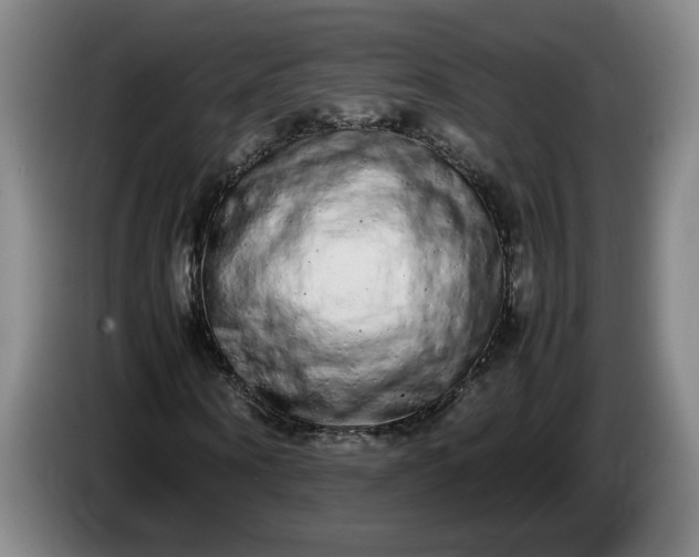 X0000085780866200703301423