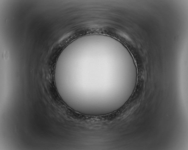 X0000085780869200703301423