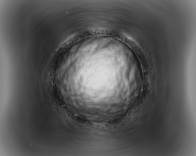 X0000085780870200703301423