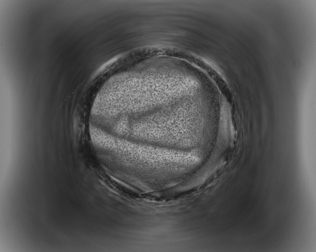 X0000085780872200703301423