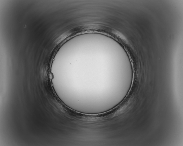 X0000085780873200703301423