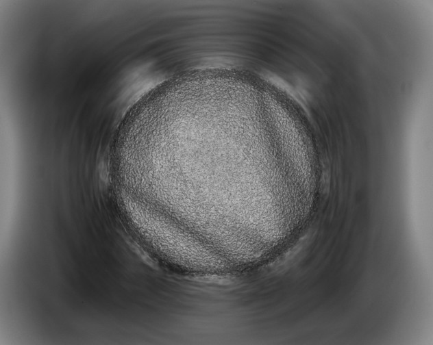 X0000085780874200703301423