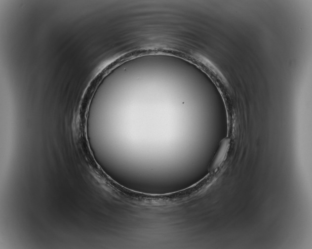 X0000085780876200703301423