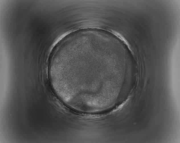 X0000085780877200703301423