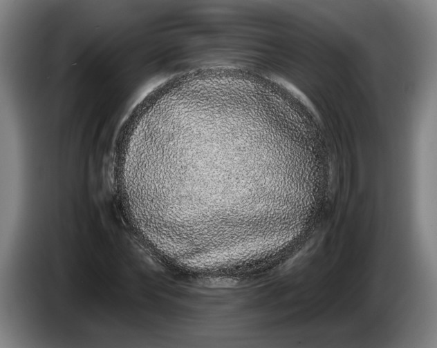 X0000085780878200703301423