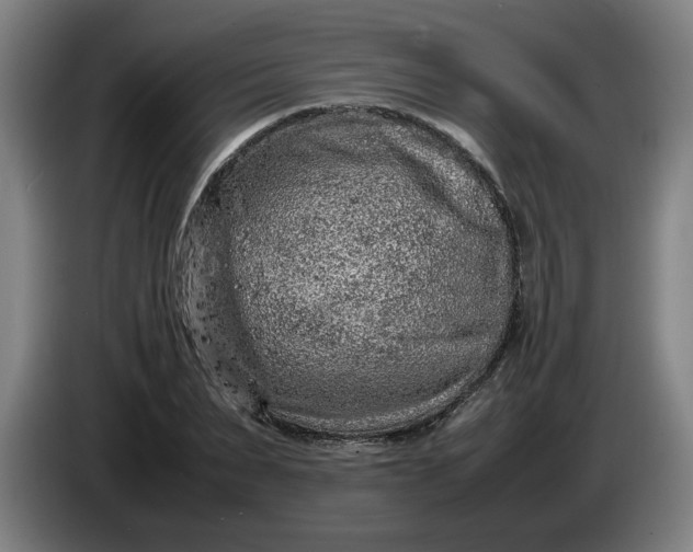 X0000085780879200703301423