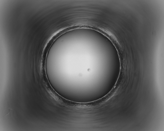 X0000085780880200703301423