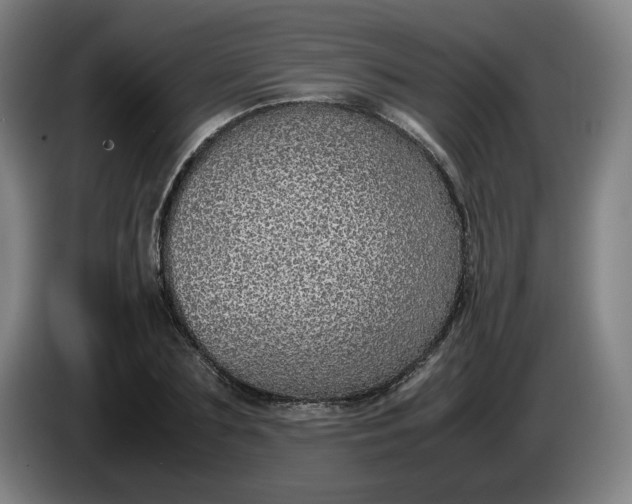 X0000085780883200703301423