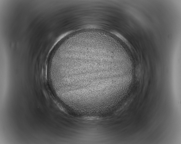 X0000085780886200703301423