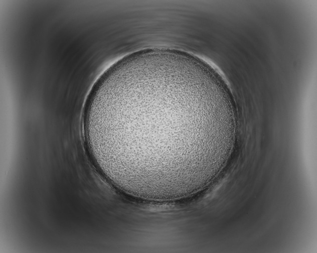 X0000085780887200703301423