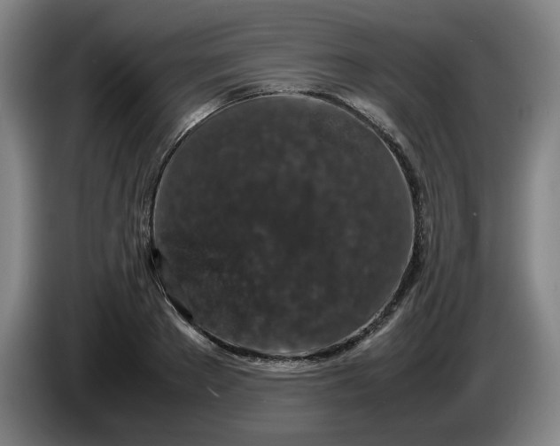 X0000085780889200703301423