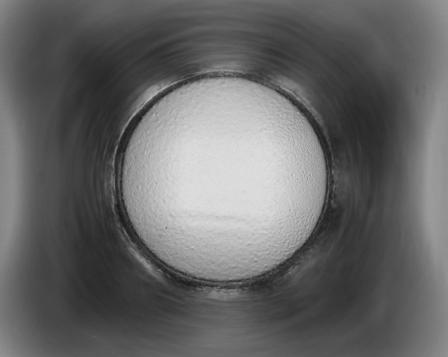 X0000085780890200703301423