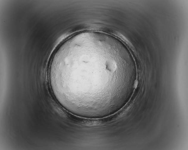 X0000085780891200703301423