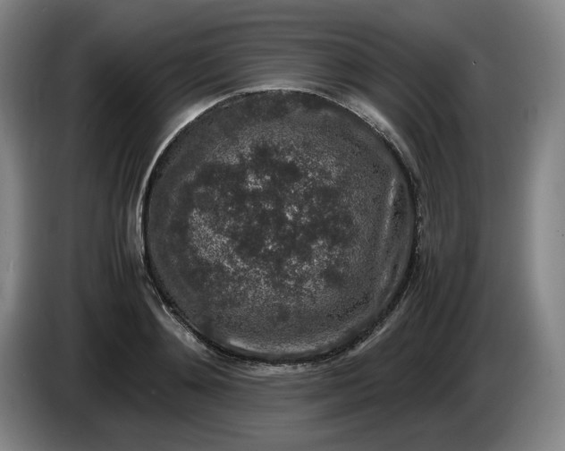 X0000085780892200703301423