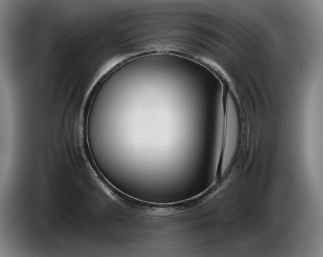 X0000085780894200703301423