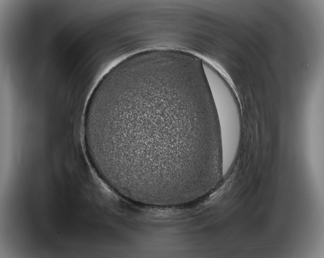 X0000085780895200703301423