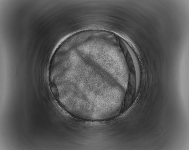 X0000085780896200703301423