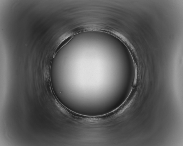 X0000085780897200703301423