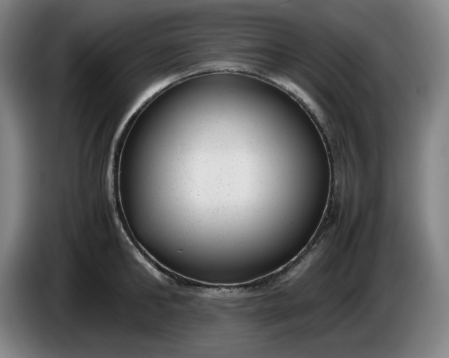 X0000085780902200703301422