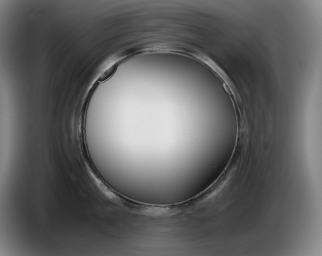 X0000085780909200703301422