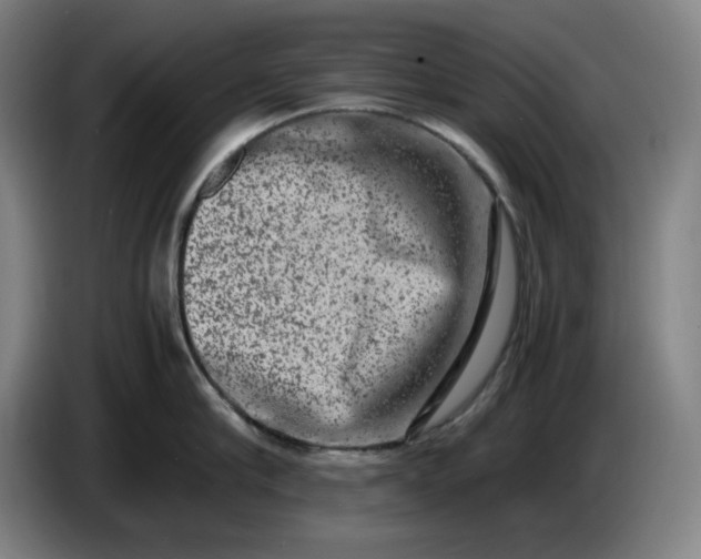 X0000085780910200703301422