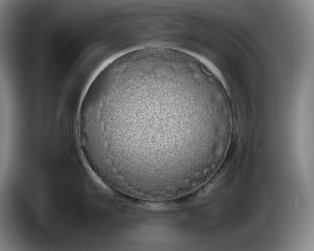 X0000085780911200703301422