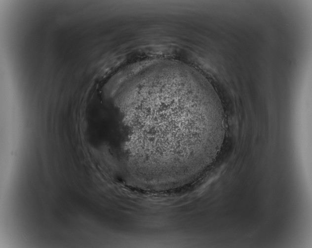 X0000085780913200703301422