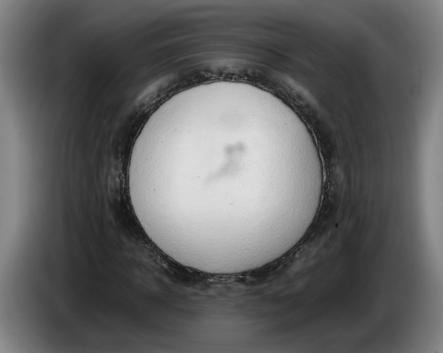 X0000085780918200703301422