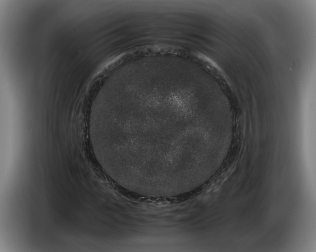 X0000085780919200703301422