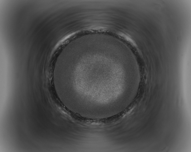 X0000085780920200703301422