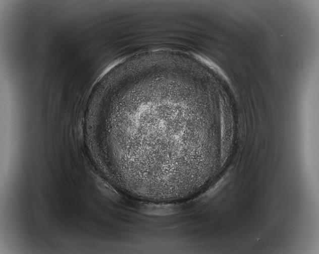 X0000085780921200703301422